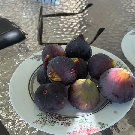 度假居 Katerina Astypálaia