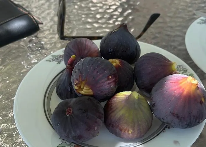 度假居 Katerina Astypálaia